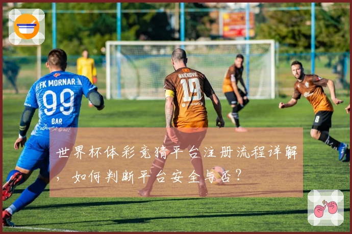世界杯体彩竞猜平台注册流程详解，如何判断平台安全与否？