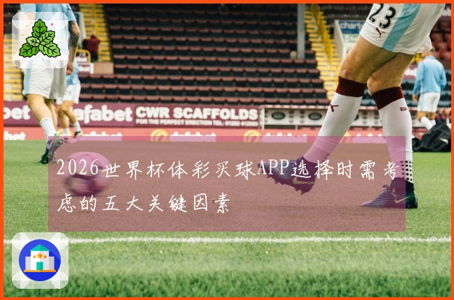 2026世界杯体彩买球APP选择时需考虑的五大关键因素