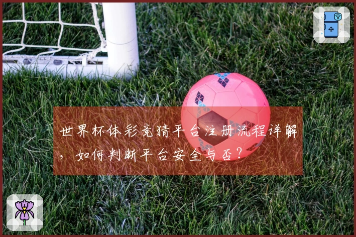 世界杯体彩竞猜平台注册流程详解，如何判断平台安全与否？