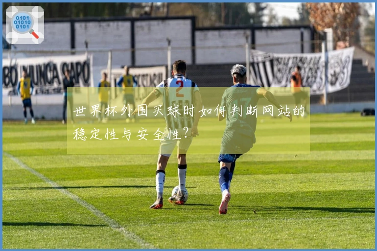 世界杯外围买球时如何判断网站的稳定性与安全性？